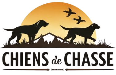 Chiens de Chasse