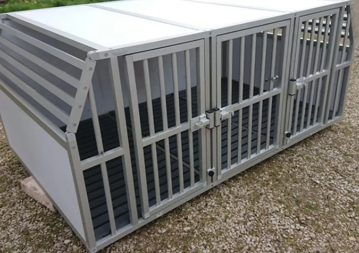 Mon avis sur la cage pour chien de chasse de la marque Braveur